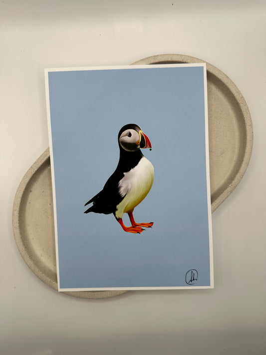 Pesky puffin print