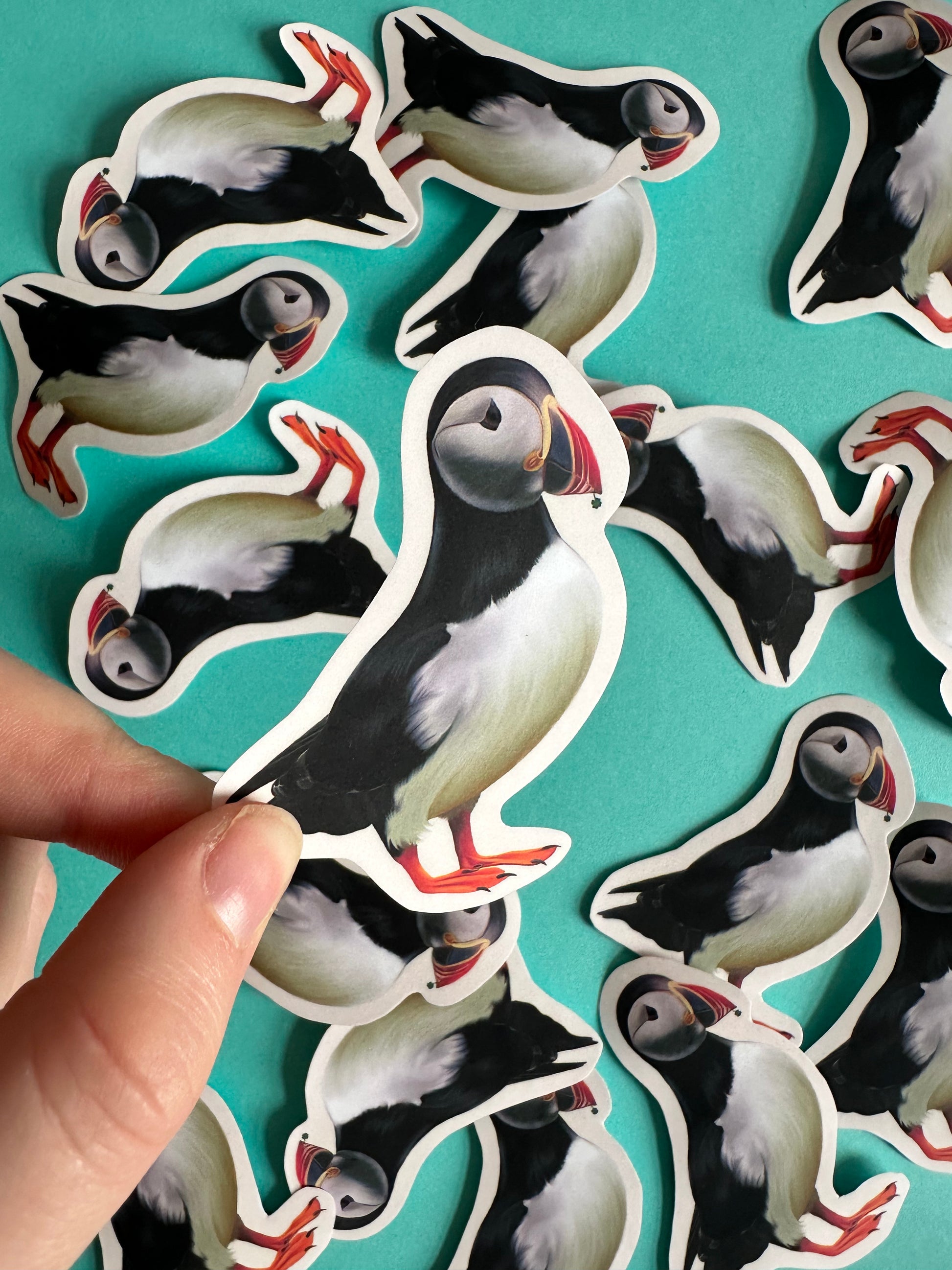 ‘Pesky puffin’ sticker - Art by Charlotte #