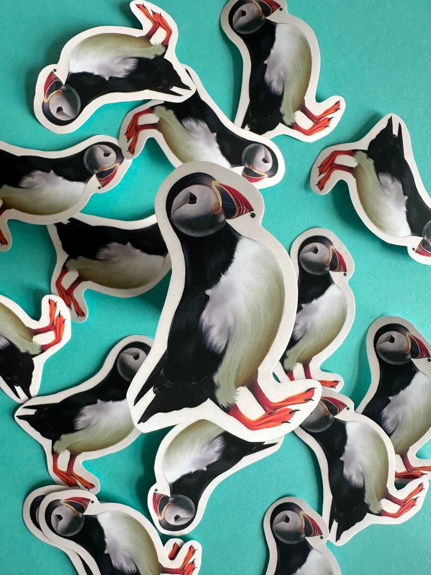 ‘Pesky puffin’ sticker - Art by Charlotte #